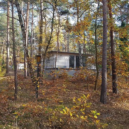 Hausmeise Heidesee Exteriör bild